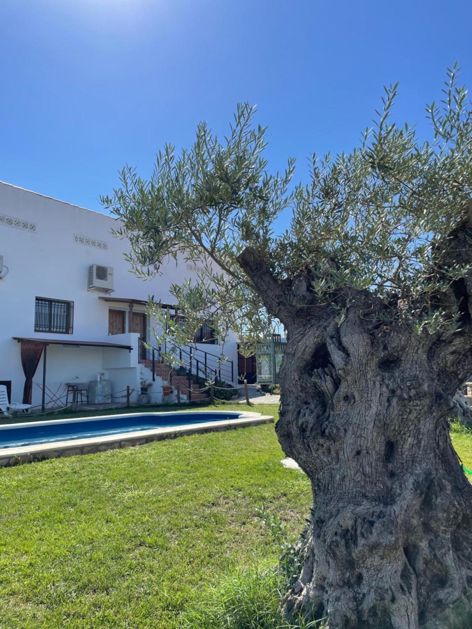 Casa Rural El Miajon Villa El Campo  ภายนอก รูปภาพ
