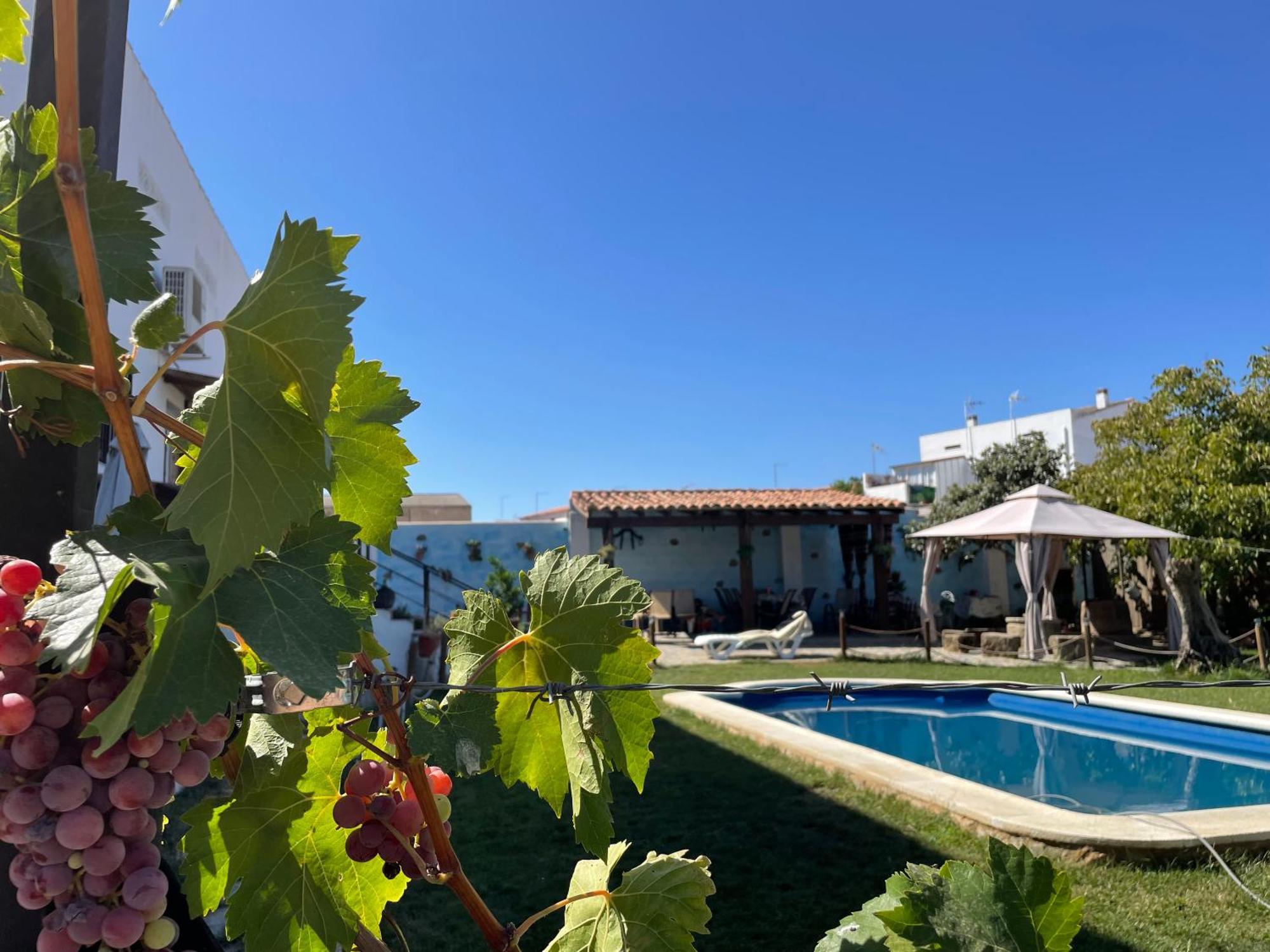 Casa Rural El Miajon Villa El Campo  ภายนอก รูปภาพ