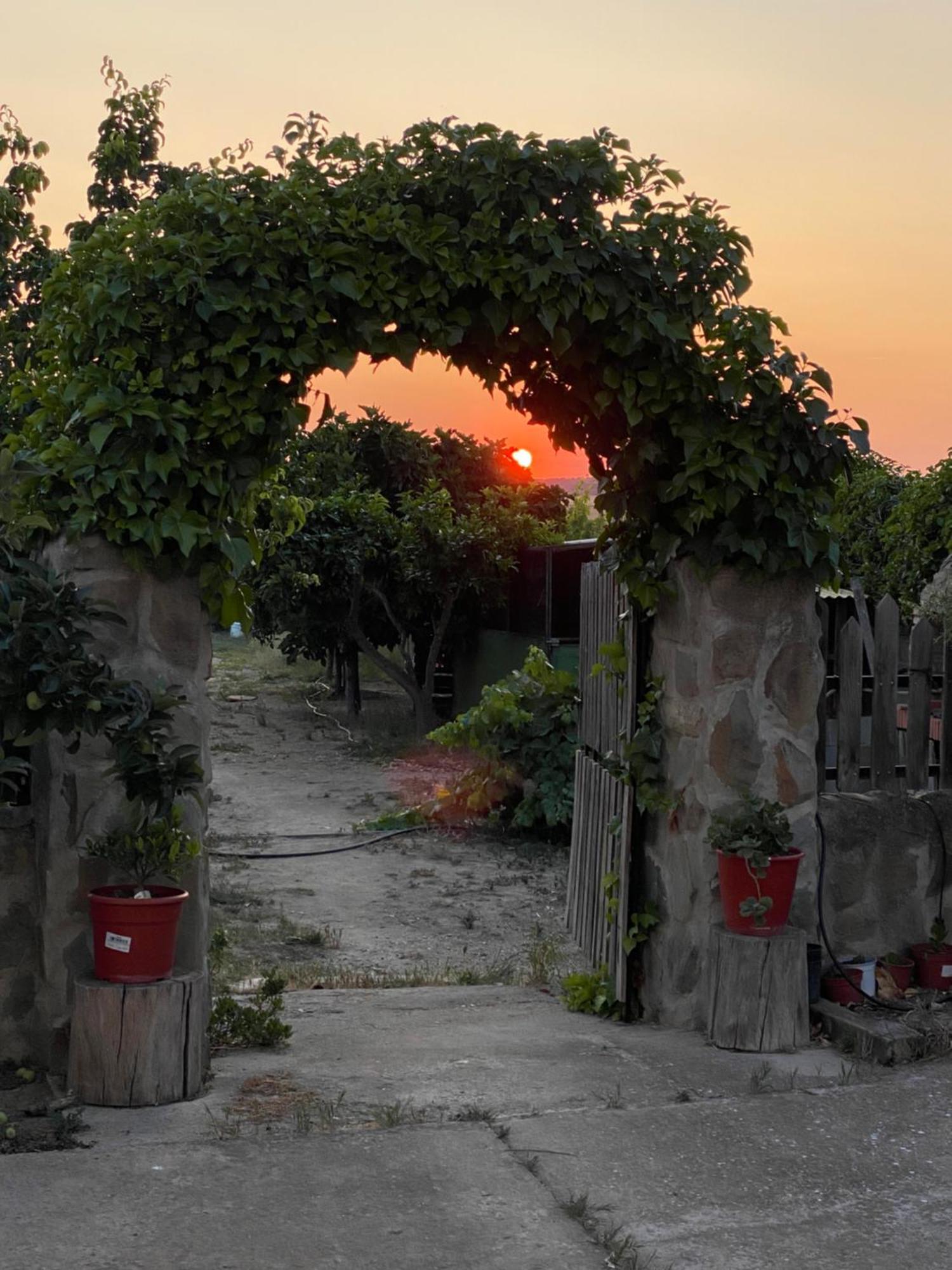 Casa Rural El Miajon Villa El Campo  ภายนอก รูปภาพ